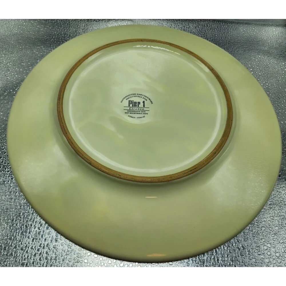 Pier 1 Imports Hand Painted Earthenware 